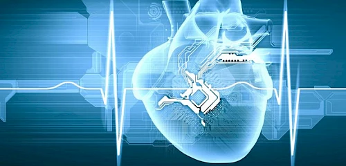 Afbeelding: Nieuwe techniek om hartactiviteit in beeld te brengen (hartritme_3.jpg)